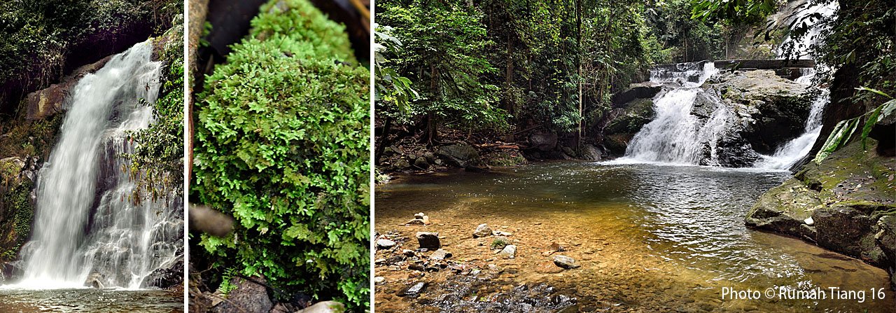 Lata Kekabu Eco Forest Park