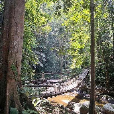 The suspended bridge over a stream in Lata Kekabu.