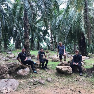 Let us sit on some ancient suevite rocks.