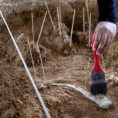 An archaeological exercise by students of Universiti Sains Malaysia.