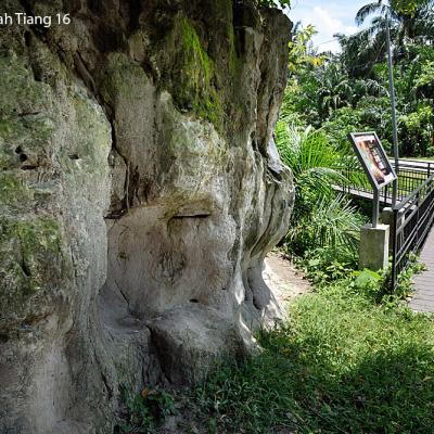 This is  the volcanic dust “wall” created by a gigantic eruption from Mount Toba in Northern Sumatra, Indonesia, about 74,000 years ago. 