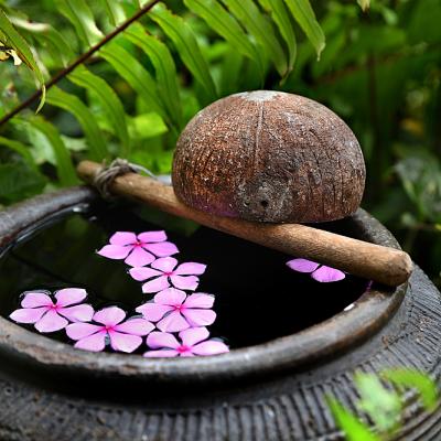 Rumah Tiang 16: a soothing garden feature.
