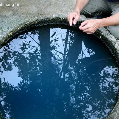 Telaga Biru, a spring with the blue-tinted water source.
