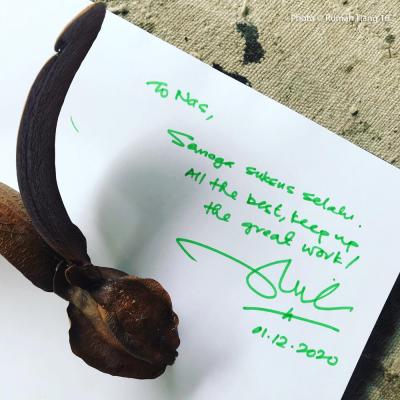 Words From The Guest Book